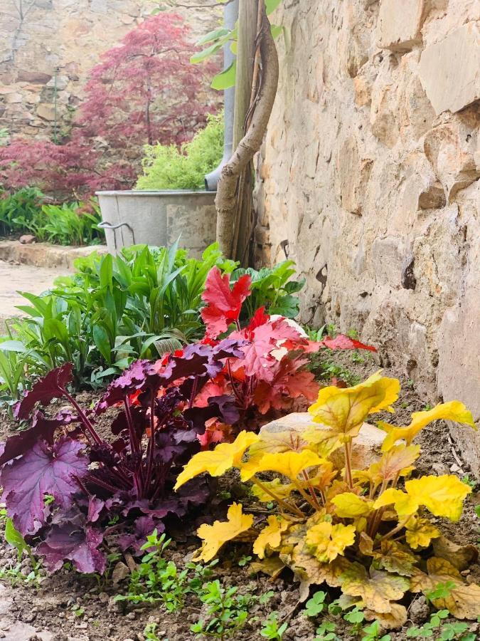 Cote Jardin Sainte-Suzanne (Mayenne) Exterior foto